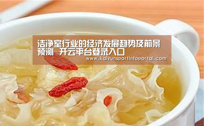 洁净室行业的经济发展趋势及前景预测-开云平台登录入口