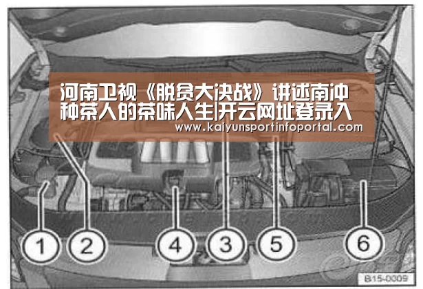河南卫视《脱贫大决战》讲述南冲种茶人的茶味人生|开云网址登录入口(图2) 河南卫视《脱贫大决战》讲述南冲种茶人的茶味人生|开云网址登录入口(图2)