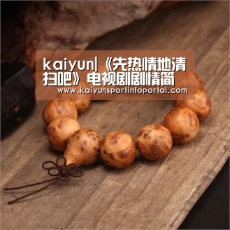 kaiyun|《先热情地清扫吧》电视剧剧情简介 播出时间是什么时候？