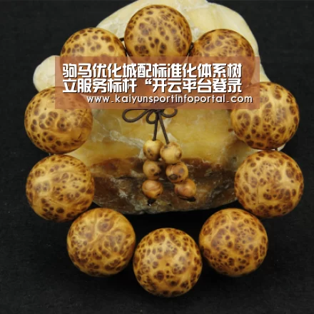 开云官方登录