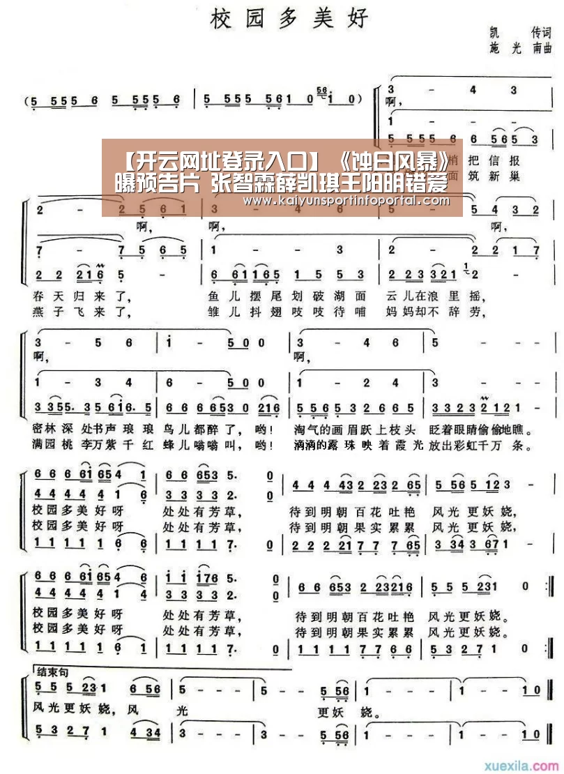 开云官方登录