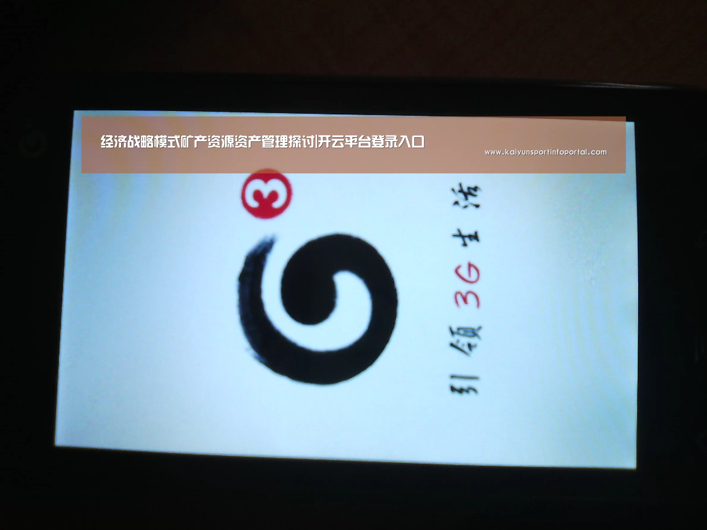 经济战略模式矿产资源资产管理探讨|开云平台登录入口