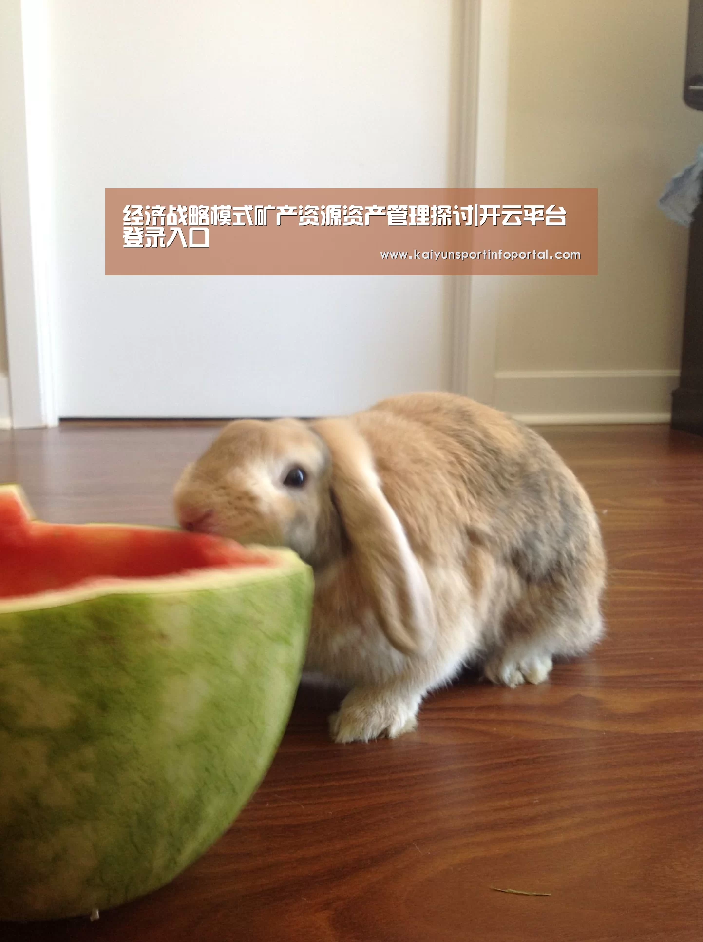 开云平台登录入口